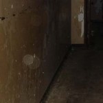 DSC02213_6x2