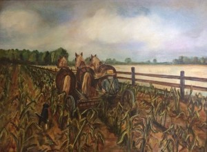 horses